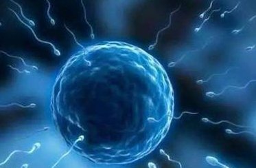 精子不液化不影响胎儿健康？怎么样调理好？