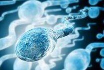 2026兰大一院不孕不育医生排名盘点，生殖科较好专家竟是...