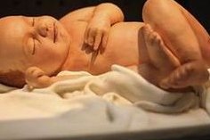 2026年上海试管费用大约多少？附试管费用明细