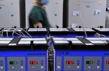 2026汾阳试管婴儿医院排名，附成功率及费用介绍